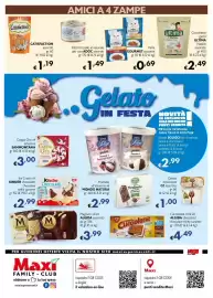 Volantino Maxi Family Pagina 8