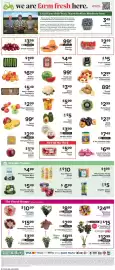 ShopRite flyer week 26 Page 9