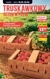 Biedronka gazetka Strona 32