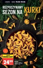 Biedronka gazetka Strona 33