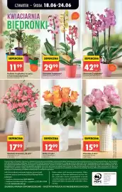 Biedronka gazetka Strona 90