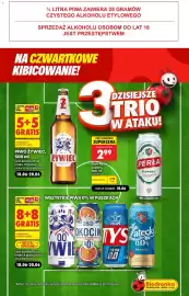 Biedronka gazetka tydzień 25 Strona 3