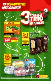 Biedronka gazetka tydzień 25 Strona 4