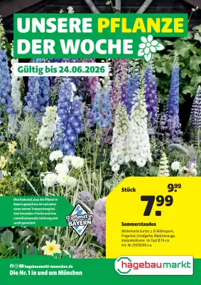 Hagebau (gültig bis 25-06)