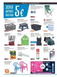 V Markt Prospekt woche 25 Seite 12