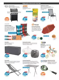 V Markt Prospekt woche 25 Seite 16
