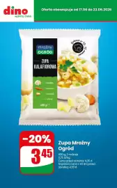 Dino gazetka tydzień 25 Strona 10