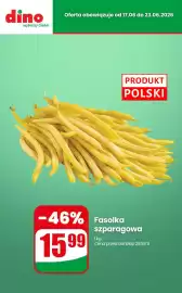 Dino gazetka tydzień 25 Strona 7