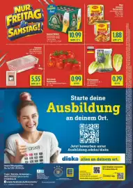 Diska Prospekt woche 26 Seite 14