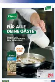 Metro Flugblatt Seite 13