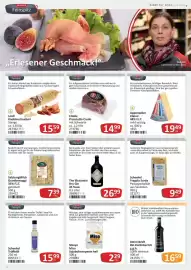 Kastner Flugblatt Seite 12