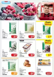 Kastner Flugblatt Seite 13