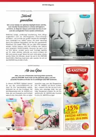 Kastner Flugblatt Seite 19