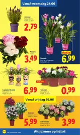 Lidl folder week 26 Pagina 19