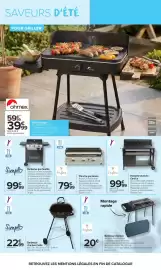 Catalogue Carrefour Market | Plein air page 5