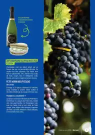 Catalogue Biocoop | Foire aux vins 2026 page 19