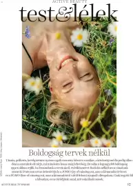 DM akciós újság Oldal 17