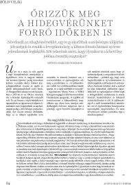 DM akciós újság Oldal 84
