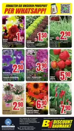 B1 Discount Baumarkt Prospekt woche 27 Seite 8