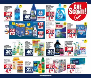 Volantino Il Gigante Pagina 11
