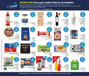 Volantino Il Gigante Pagina 30