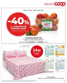 Volantino Coop Reno Pagina 13
