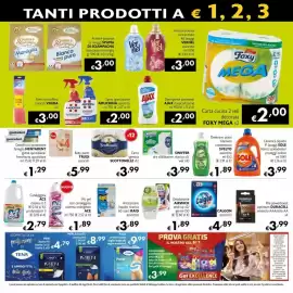Volantino Maxi Supermercati Pagina 13