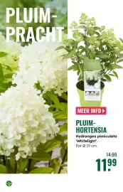 GroenRijk folder week 25 Pagina 11