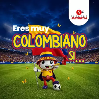 Electrojaponesa (válido hasta 24-06)