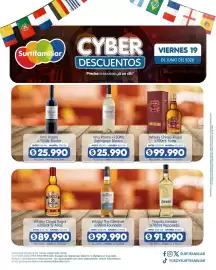 Catálogo Surtifamiliar Página 12