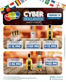 Catálogo Surtifamiliar Página 13