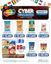 Catálogo Surtifamiliar Página 6