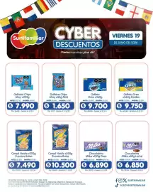 Catálogo Surtifamiliar Página 8