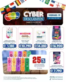 Catálogo Surtifamiliar Página 9