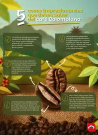Catálogo Olímpica Página 16