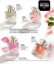 Catálogo Avon Página 62