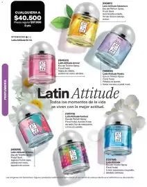 Catálogo Avon Página 81