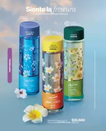 Catálogo Avon Página 87
