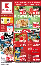 Kaufland Prospekt woche 25 Seite 1