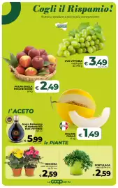 Volantino Coop Radenza Pagina 21
