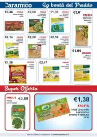 Volantino Caramico Pagina 16