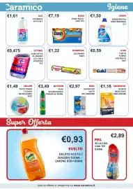 Volantino Caramico Pagina 32