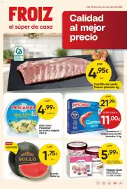Folleto FROIZ Página 1