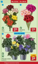 ALDI folder week 26 Pagina 38
