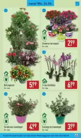ALDI folder week 26 Pagina 39