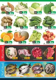 Pasons catalogue week 25 Page 3