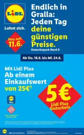 Lidl Flugblatt woche 25 Seite 1