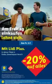Lidl Flugblatt woche 25 Seite 4