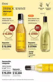 Catálogo Natura Página 205