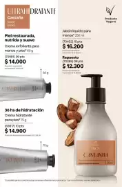 Catálogo Natura Página 212